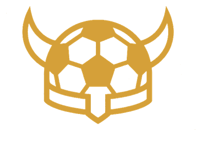 Viking Striker